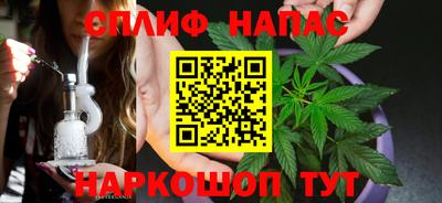 a pvp Кингисепп