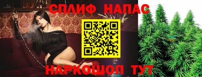 a pvp Кингисепп