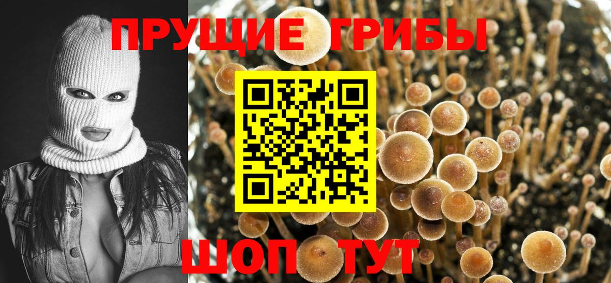 Псилоцибиновые грибы ЛСД  Вход с VPN  Керчь 