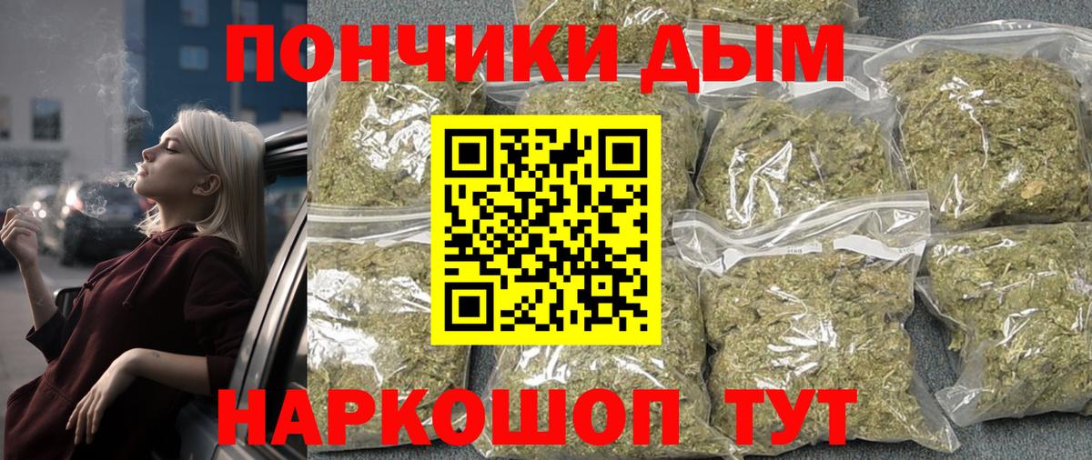 Шишки марихуана план  Бошки Шишки планчик  Шишки марихуана Ganja  Вход с VPN  Керчь  Шишки марихуана ГИДРОПОН 